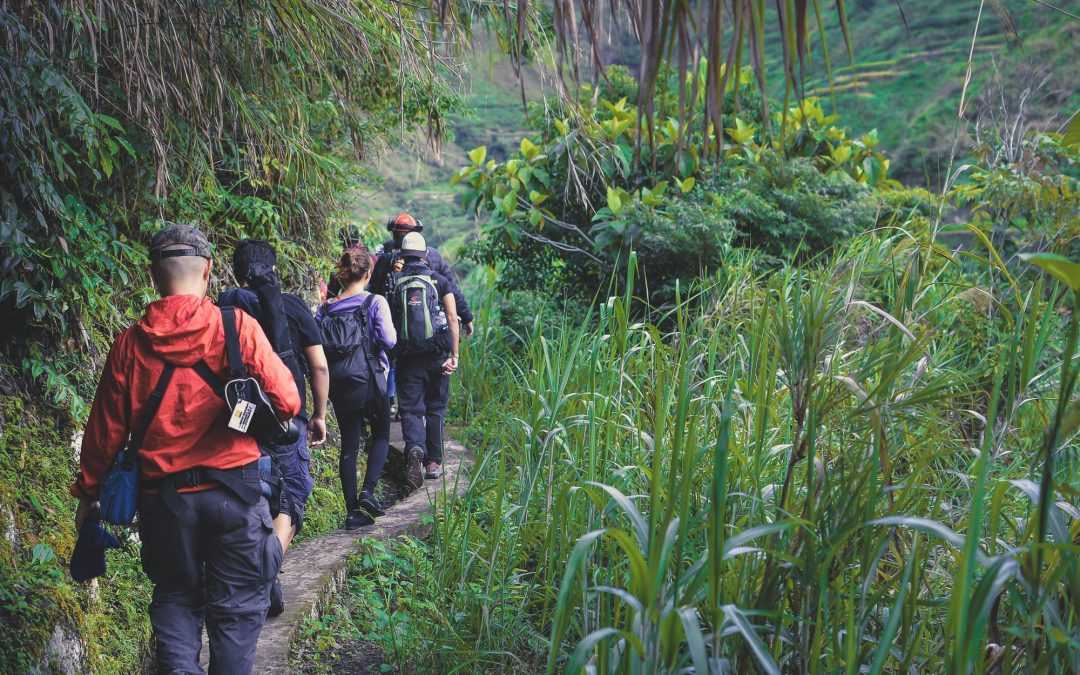 6 Reasons Why Hiking Is Good for You