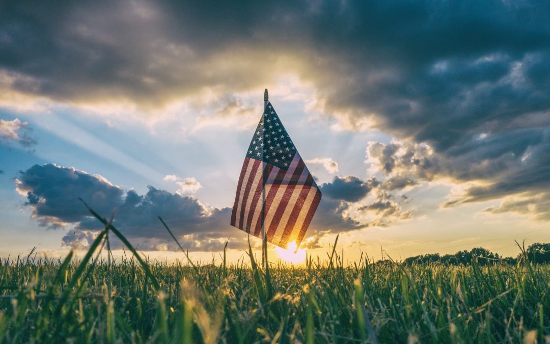 Veteran’s Day and Honor Flight